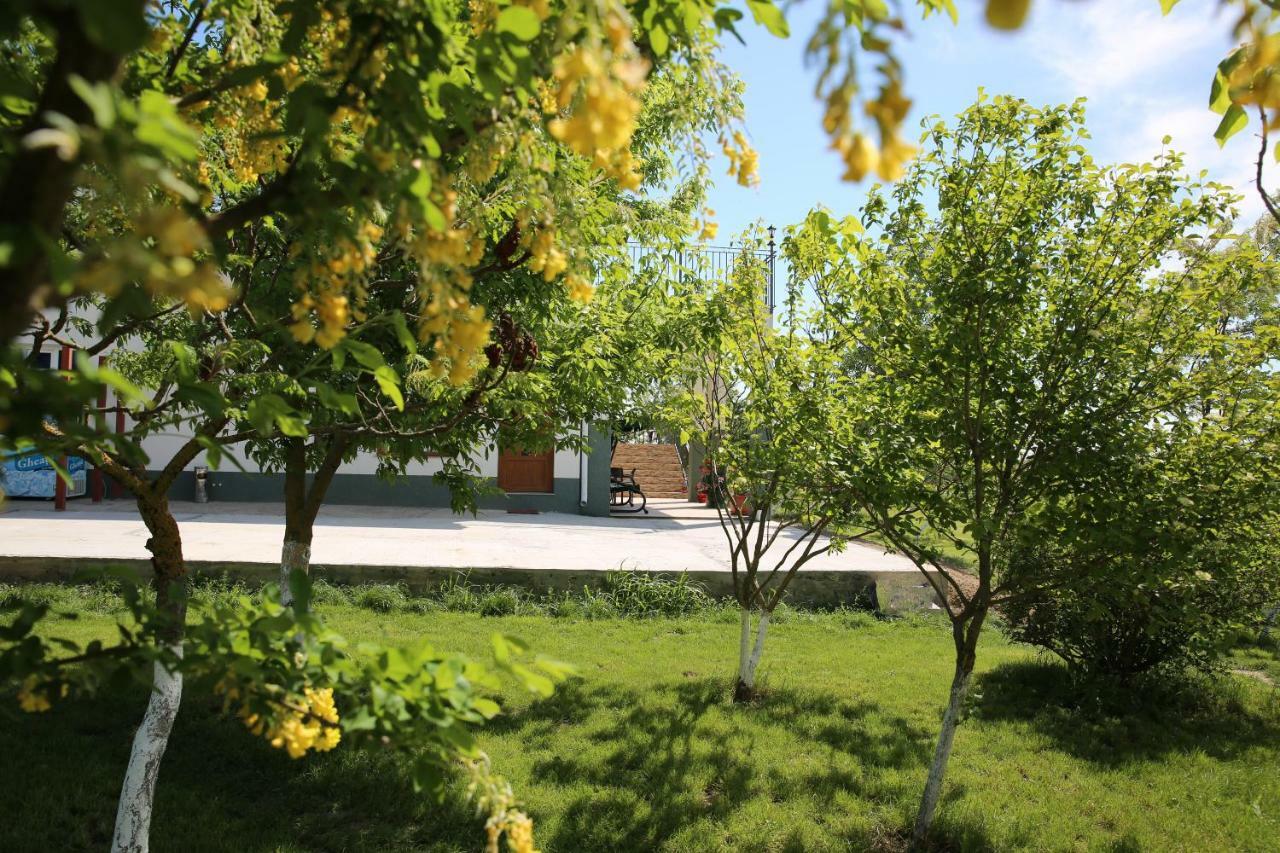 Pensiunea Palaghia Jurilovca Extérieur photo